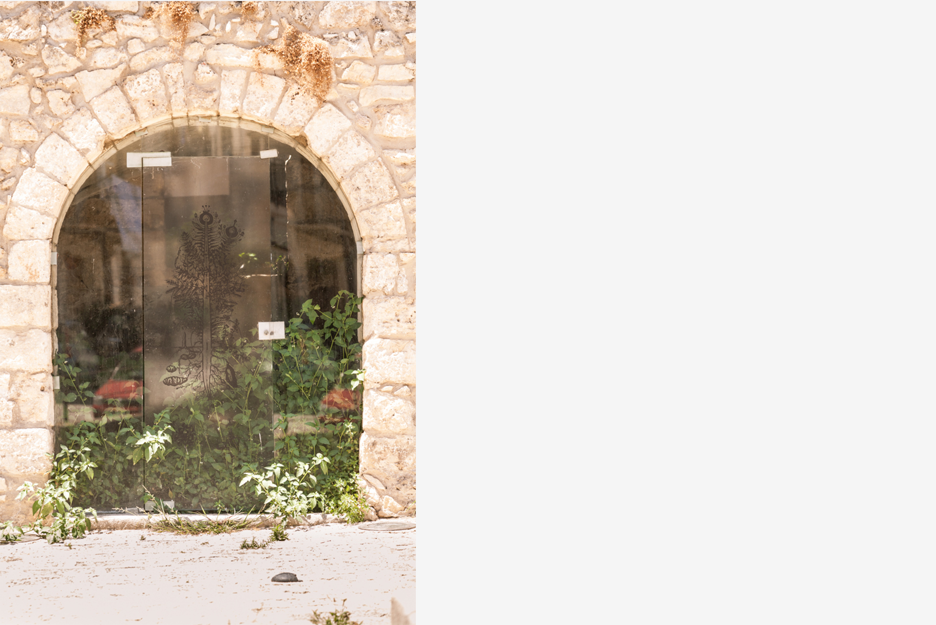 Leonardo Petrucci, Urpflanze, 2018, vinile adesivo trasparente su vetro, Fontana Araba, Alcamo. Foto CAVE Studio